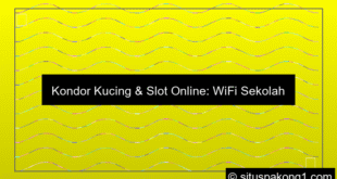 Kondor Kucing Edarkan Slot Online Lewat Wifi Sekolah